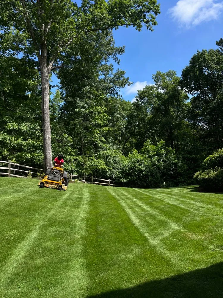 Expert landscape installation in Phenix City, AL - Mitchum Lawn