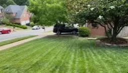 Expert garden landscaping in Bonneau, SC - Mitchum’s Lawn Care an Tree Trimming