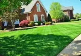 Expert lawn care service for year-round maintenance in Bonneau, SC by Mitchum’s Lawn Care an Tree Trimming