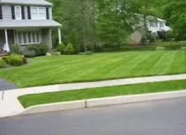 Top-rated landscaping services for homes in Bonneau, SC by Mitchum’s Lawn Care an Tree Trimming