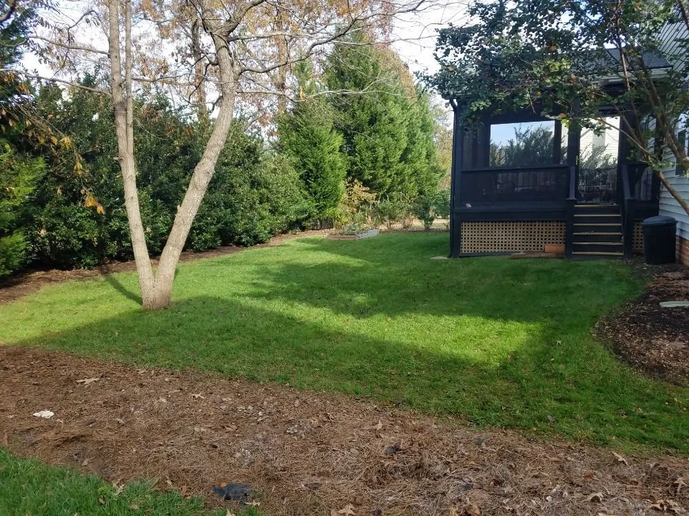 Affordable lawn mowing service in Raleigh, NC by Mitchum's Mowing