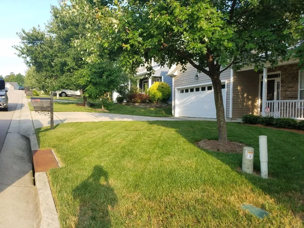 Trusted residential landscaping in Raleigh, NC - Mitchum's Mowing