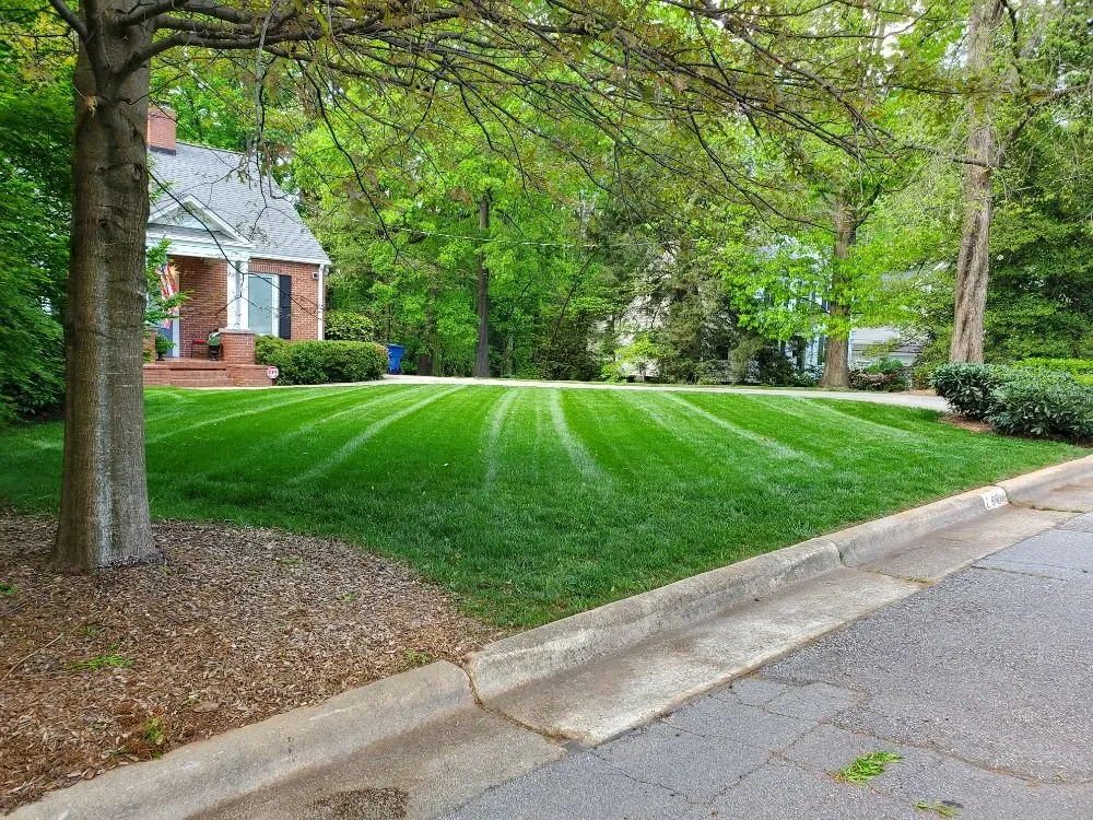 Trusted landscape installation in Raleigh, NC - Mitchum's Mowing