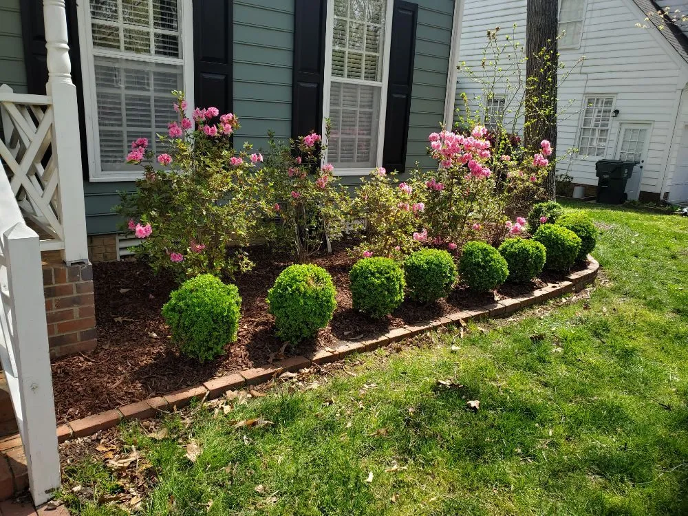 Affordable landscaping services in Raleigh, NC by Mitchum's Mowing
