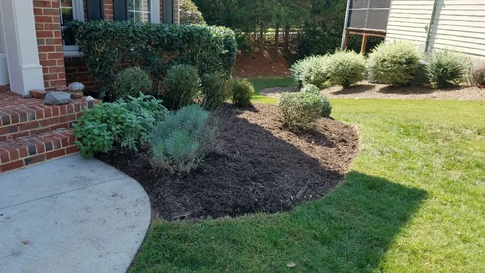 Trusted landscape design in Raleigh, NC - Mitchum's Mowing