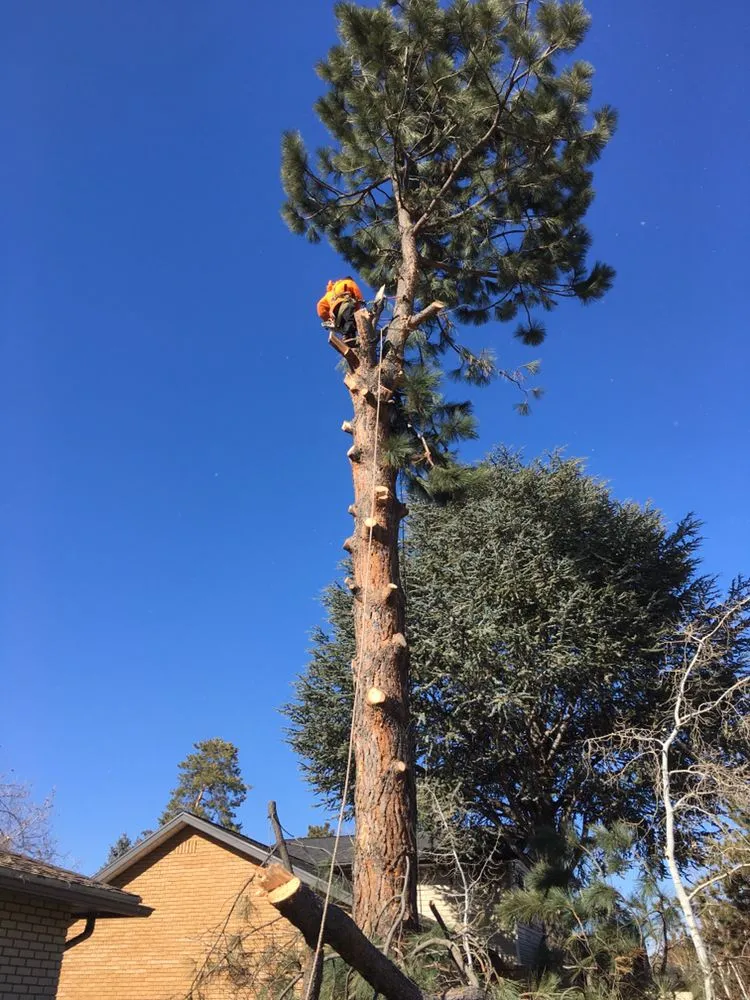 Custom garden landscaping in Salt Lake City, UT by Miti Concrete & Landscaping