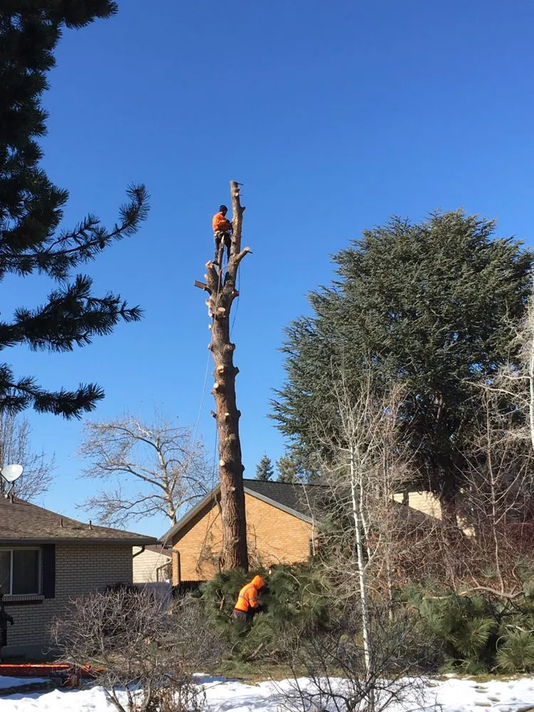 Professional garden landscaping with custom design across Salt Lake City, UT - Miti Concrete & Landscaping