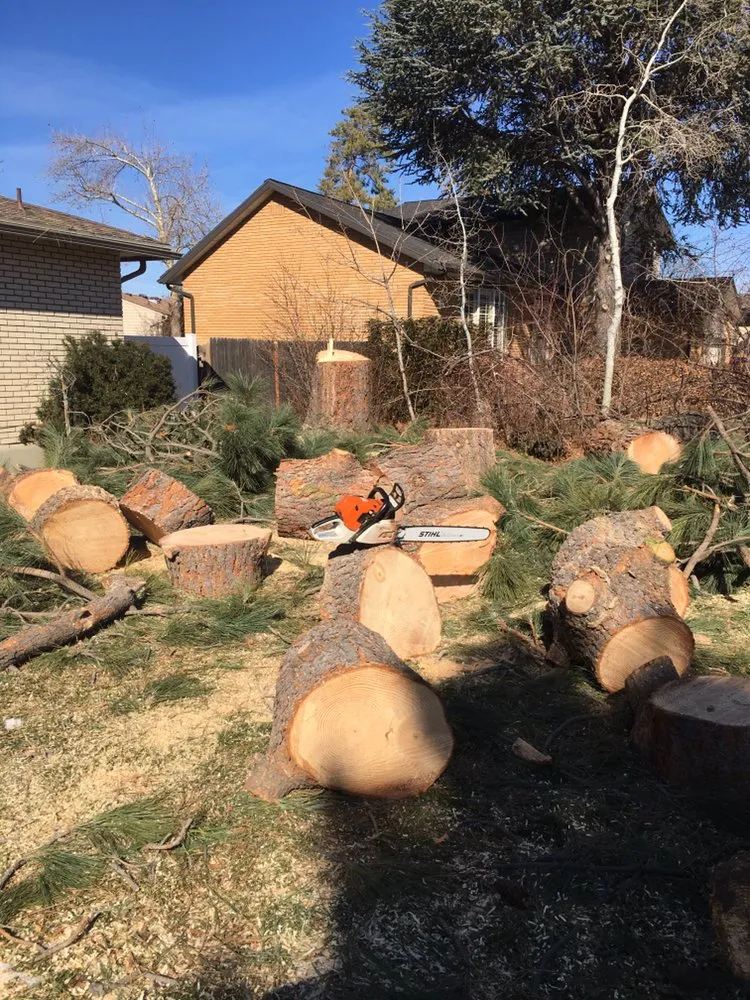 Trusted outdoor landscaping in Salt Lake City, UT - Miti Concrete & Landscaping