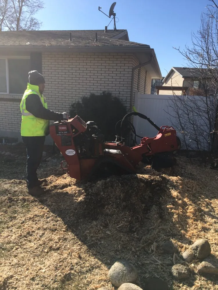 Affordable outdoor landscaping for residential properties in Salt Lake City, UT by Miti Concrete & Landscaping