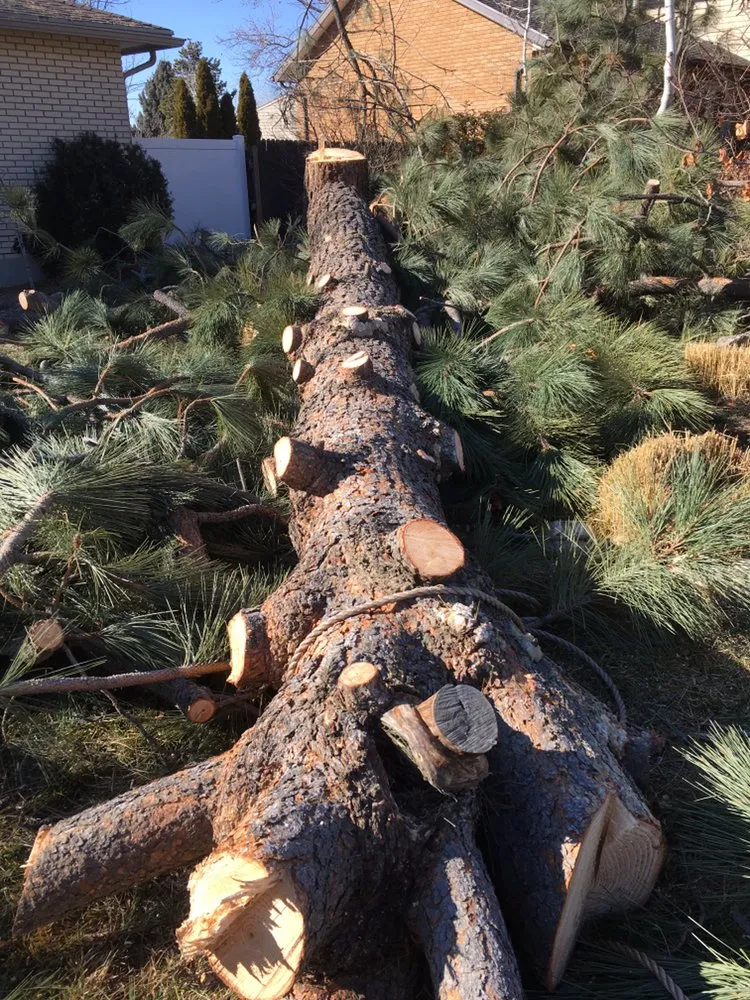 Professional landscape installation with custom design across Salt Lake City, UT - Miti Concrete & Landscaping