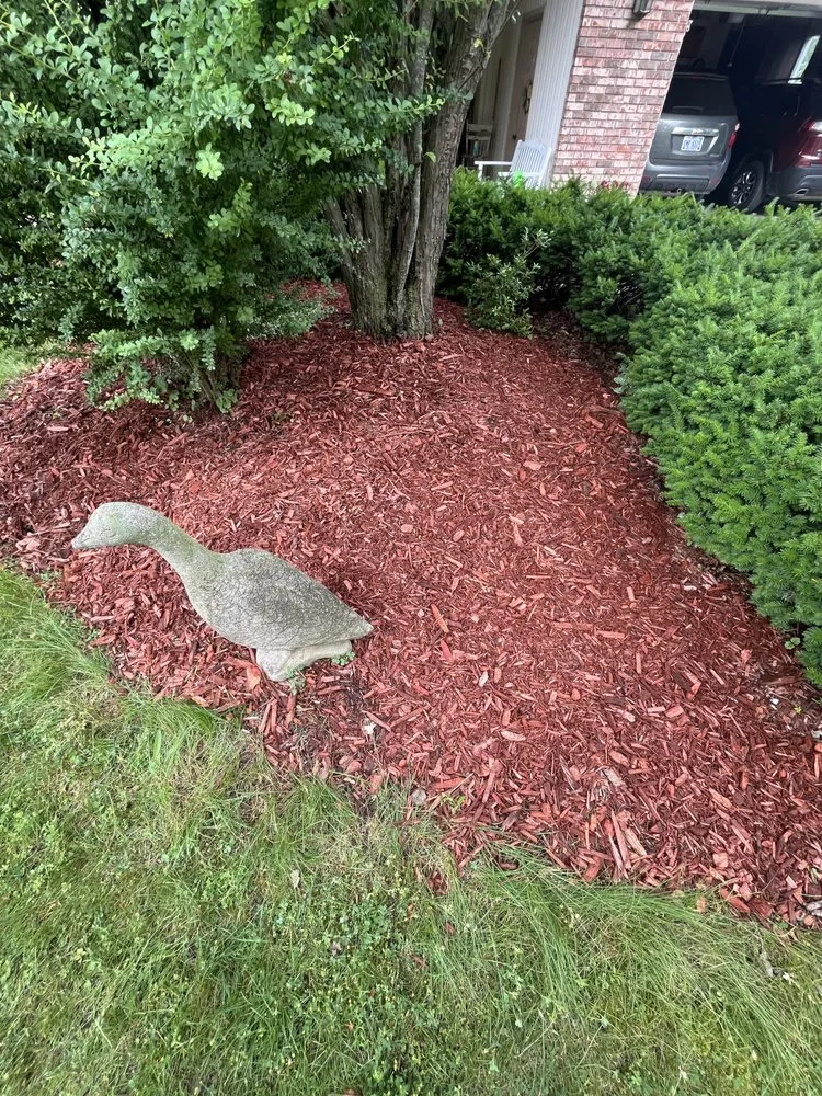 Local lawn care service experts serving Caro, MI - Mitten Men Services