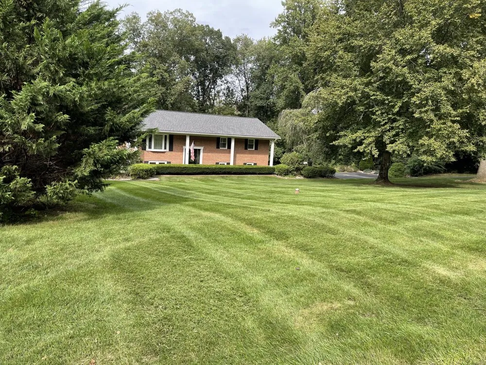 Top-rated lawn care service for residential properties across Shillington, PA - Mitzel Lawn & Landscape