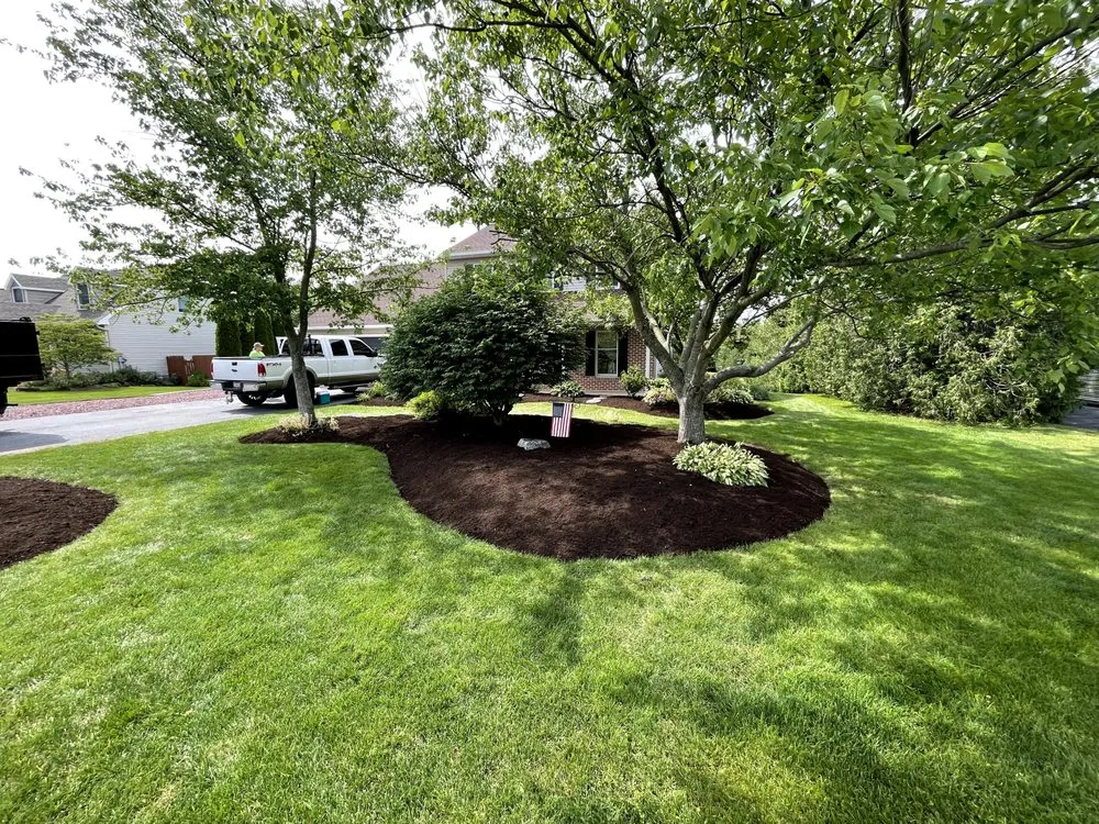 Top-rated yard cleanup service for homes across Shillington, PA - Mitzel Lawn & Landscape