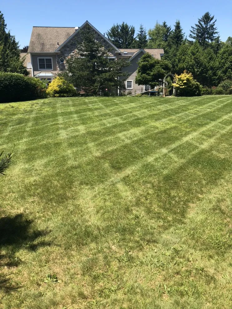 Local yard maintenance in Shillington, PA - Mitzel Lawn & Landscape