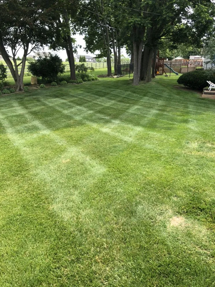 Reliable yard maintenance near you in Shillington, PA by Mitzel Lawn & Landscape
