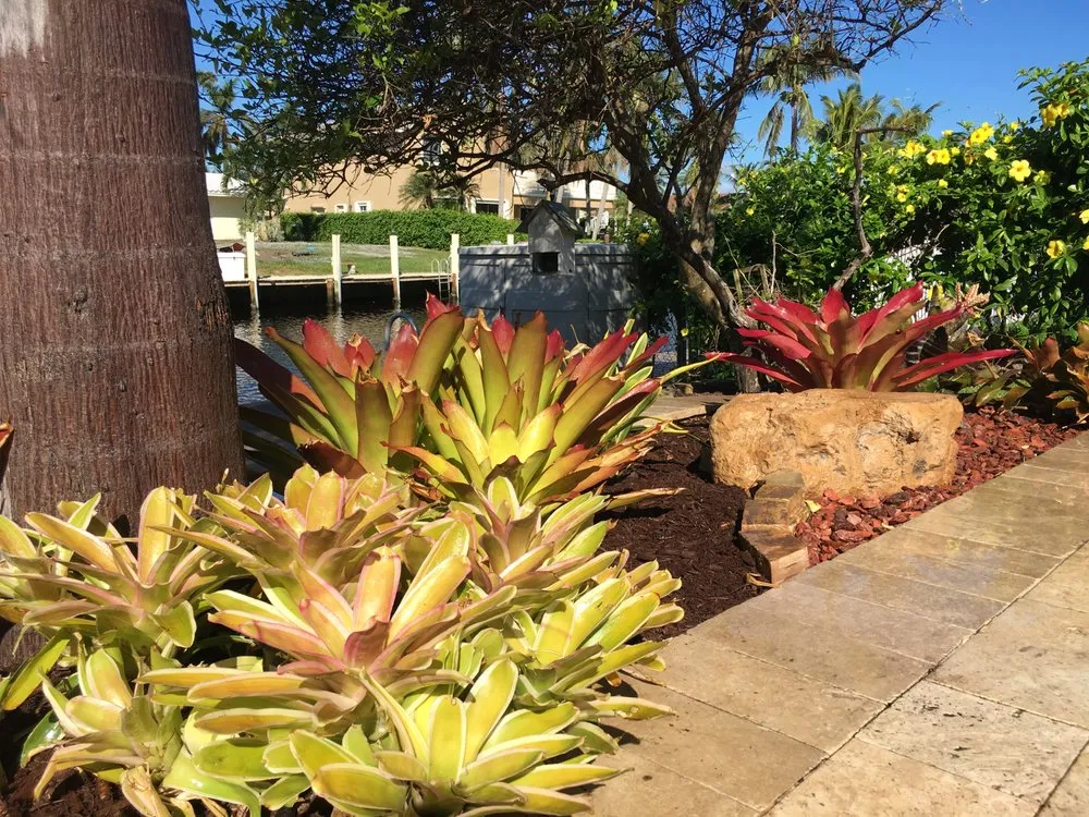Reliable landscape design in Pompano Beach, FL - Mixin Green