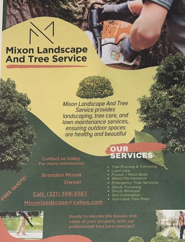 Expert yard cleanup service for year-round maintenance across Palm Bay, FL - Mixon Landscape And Tree Service