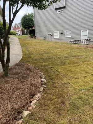 Mixon Landscaping Logo