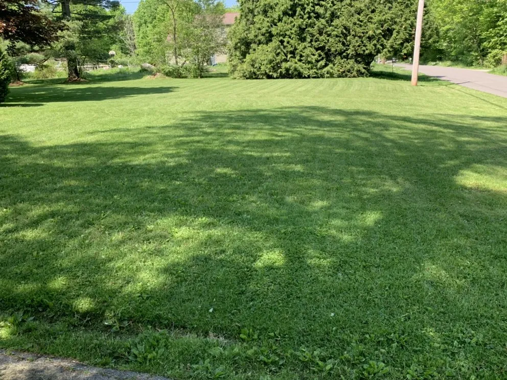 Trusted lawn care service experts serving Youngstown, OH - Mixons Lawn Care