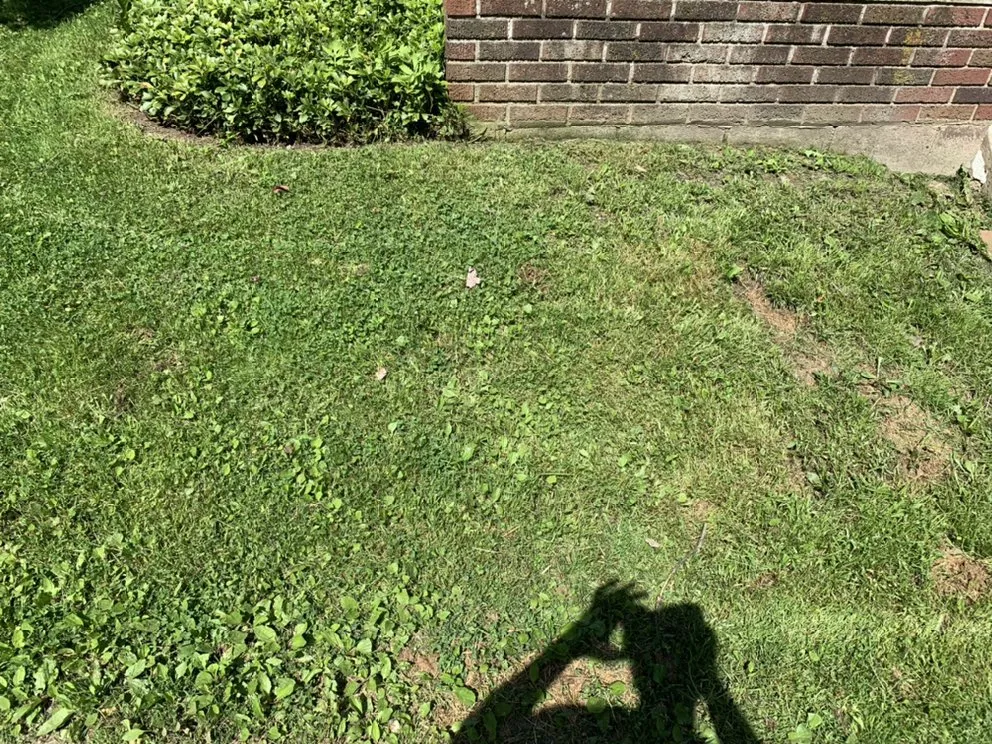 Professional outdoor landscaping in Youngstown, OH by Mixons Lawn Care