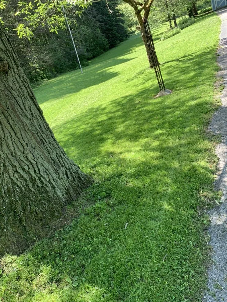 Reliable landscape design in Youngstown, OH by Mixons Lawn Care