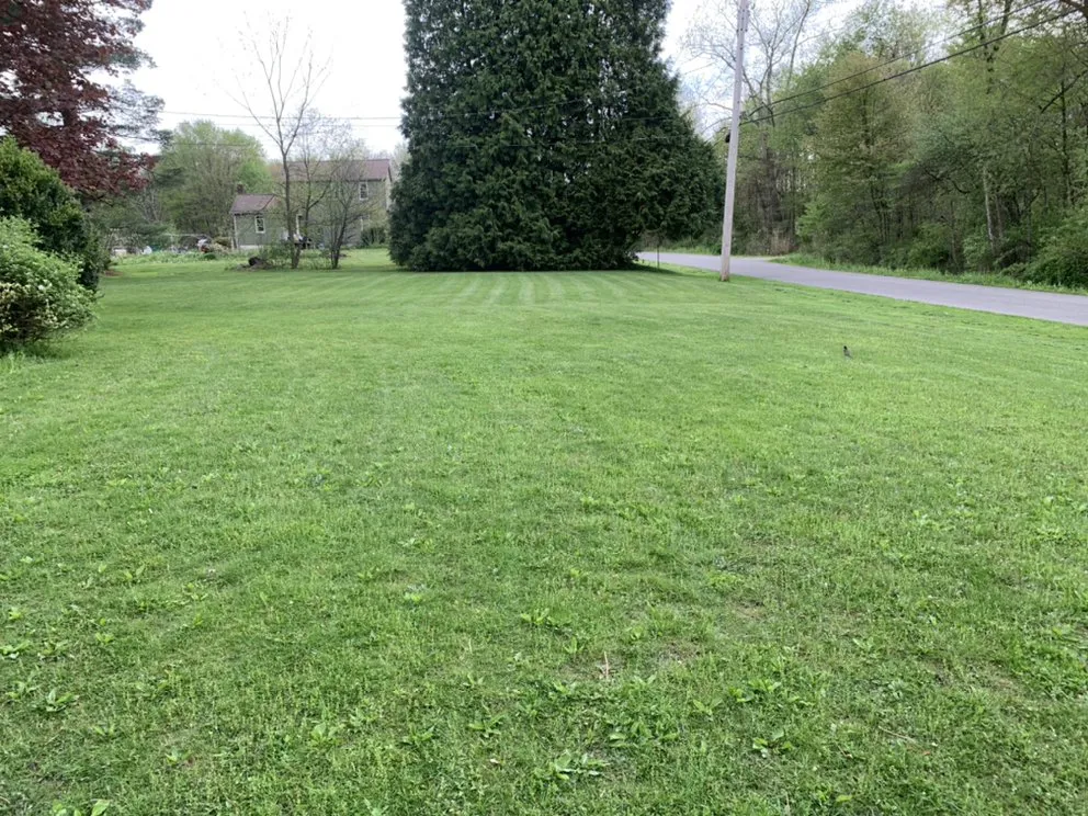 Top-rated yard cleanup service for beautiful yards across Youngstown, OH - Mixons Lawn Care