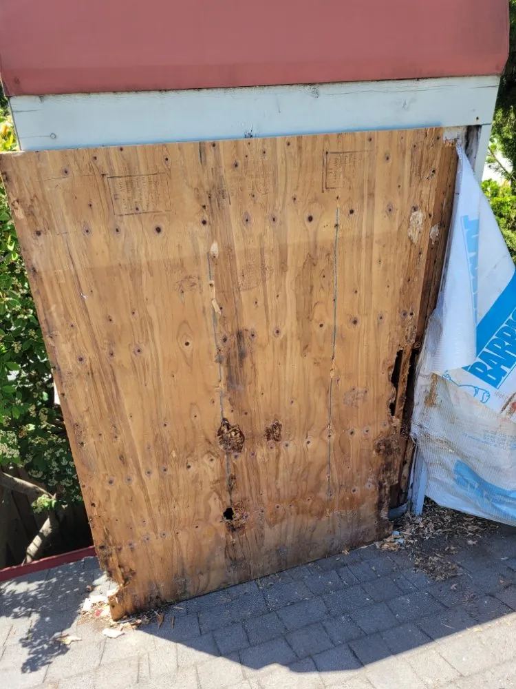 Expert landscape design in Watsonville, CA - Mixteca Handy Services