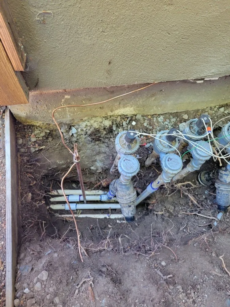 Top-rated lawn care service in Watsonville, CA by Mixteca Handy Services