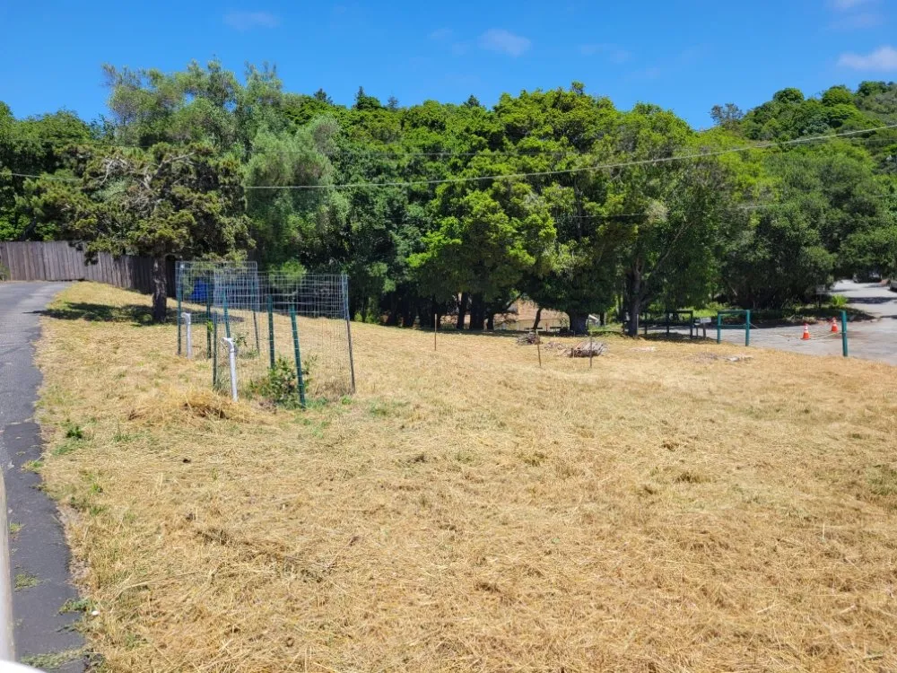 Local outdoor landscaping for homes across Watsonville, CA - Mixteca Handy Services