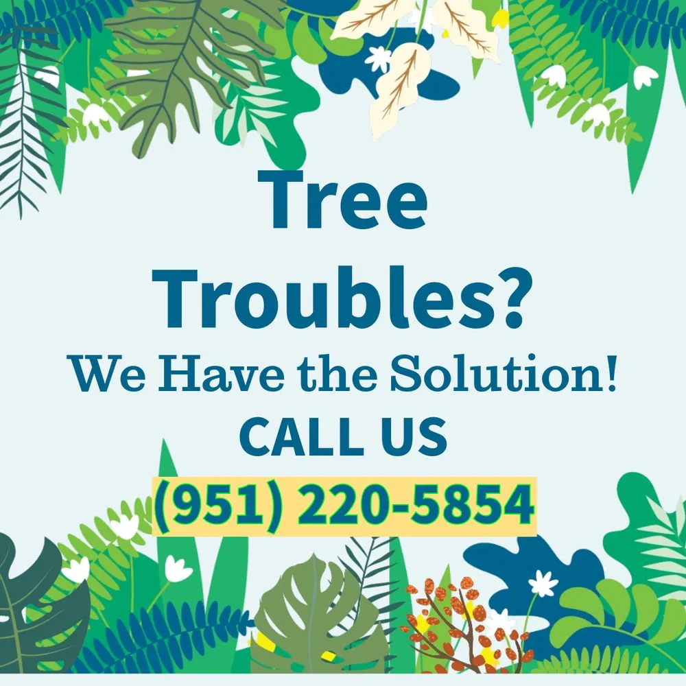 Local yard cleanup service in Corona, CA - Mixtecatl Tree & Landscape