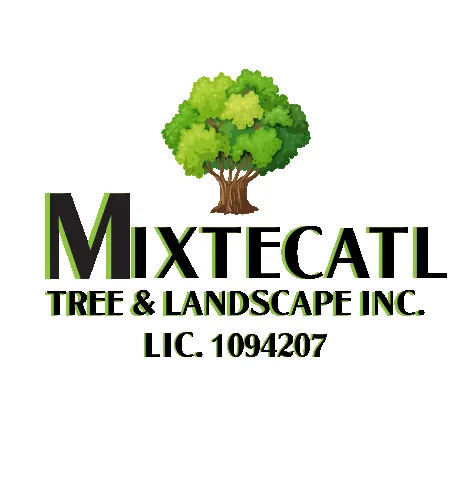 Local landscape design in Corona, CA by Mixtecatl Tree & Landscape