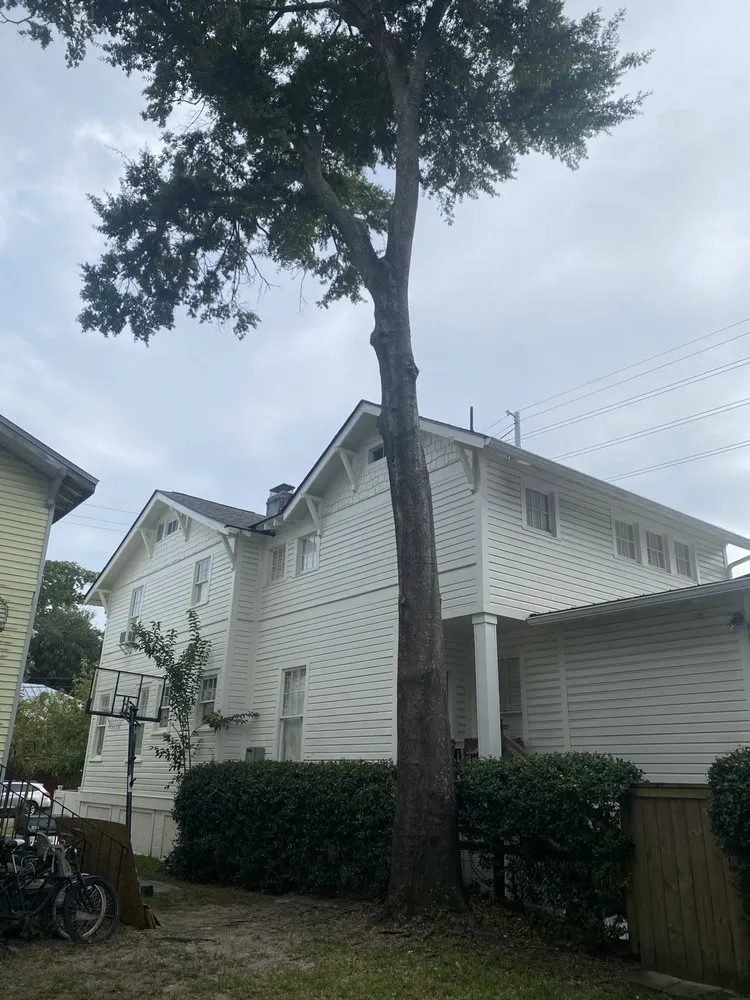 Local landscaping services near you across Goose Creek, SC - Mixteco Tree Service and Lawncare