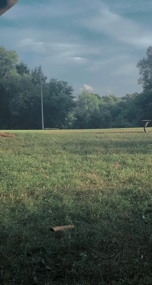 Professional yard cleanup service near you across Greenfield, WI - Miyahs Yard Care