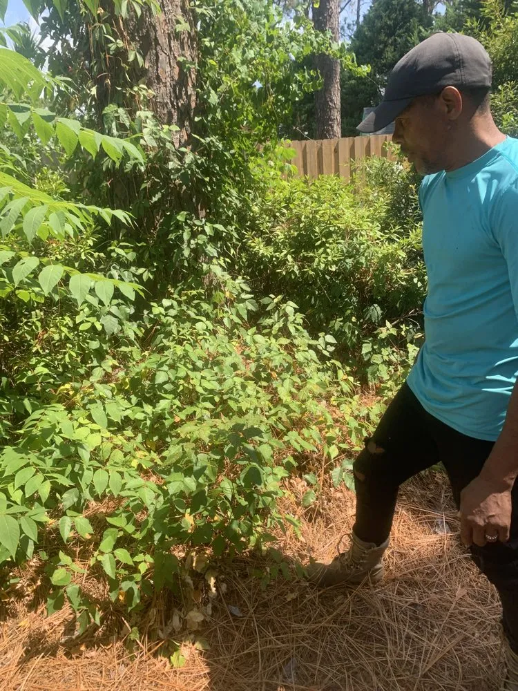 Professional lawn mowing service in Fayetteville, NC by MiyServices