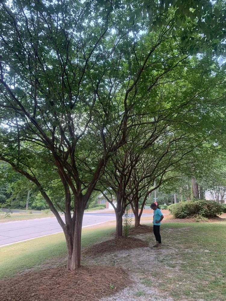 Local outdoor landscaping for homes across Fayetteville, NC - MiyServices