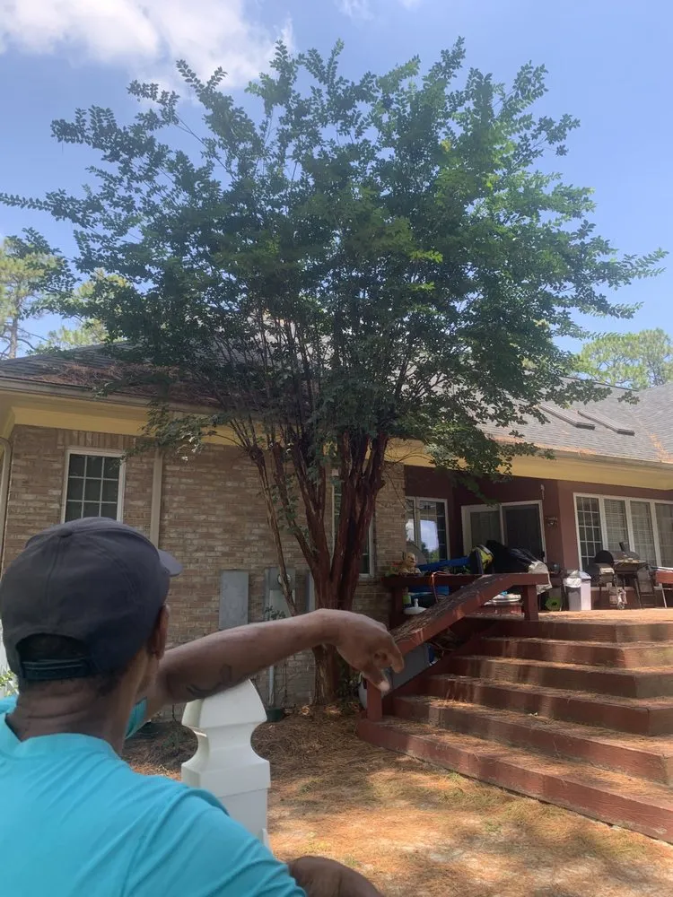 Top-rated landscape installation in Fayetteville, NC - MiyServices