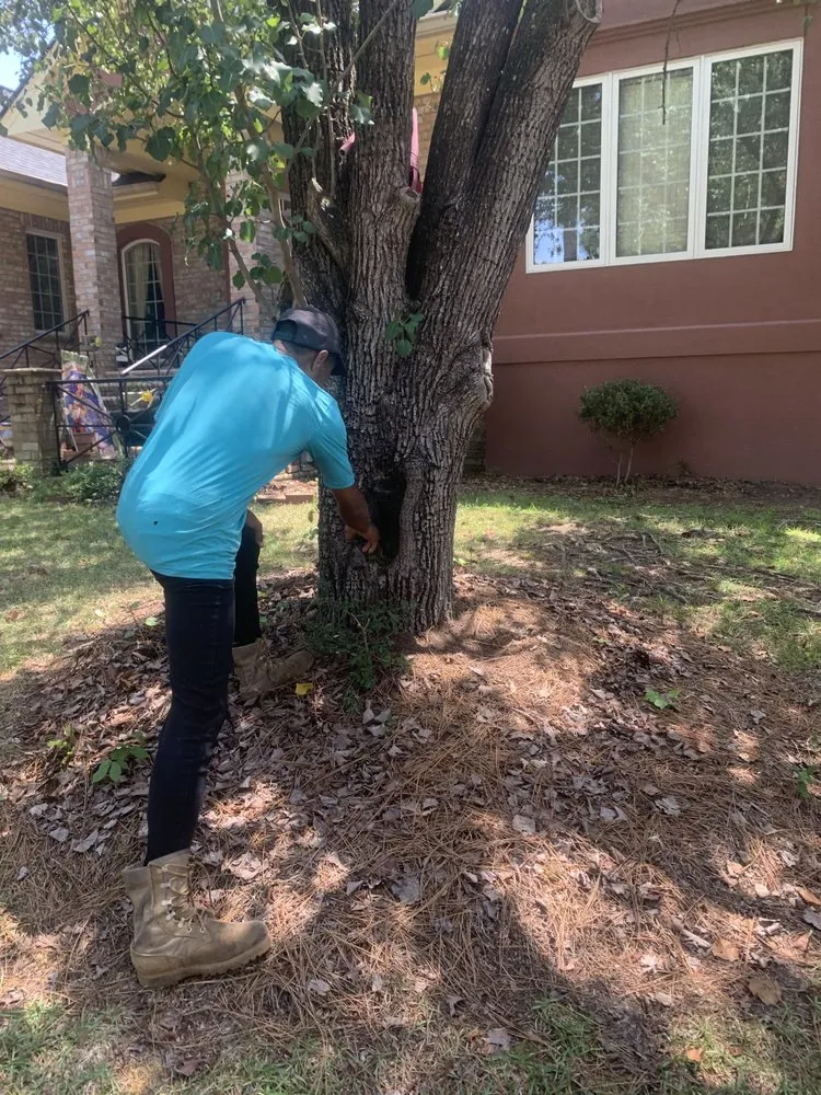 Expert landscape installation experts serving Fayetteville, NC - MiyServices