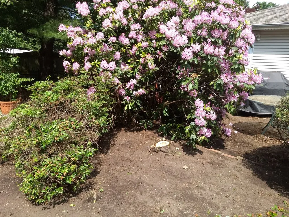 Affordable landscape installation experts serving Franklin Township, NJ - Miz's Landscaping