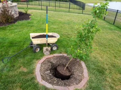 Top-rated lawn care service in Anderson, IN by MJ & J Landscaping