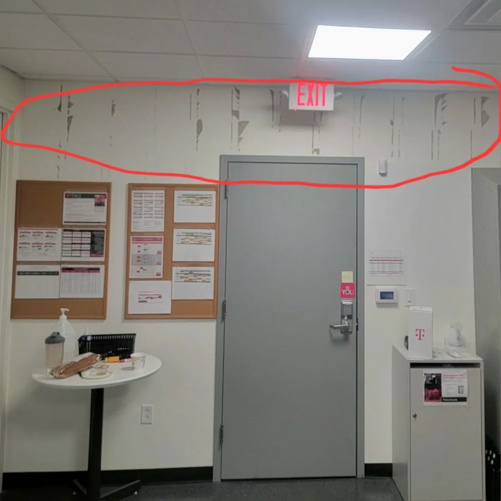 Top-rated outdoor landscaping for beautiful yards across Saint Louis, MO - Mj And Hammer