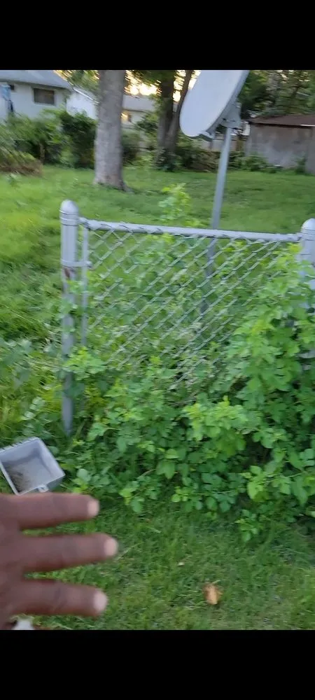 Top-rated landscape installation in Saint Louis, MO - Mj And Hammer