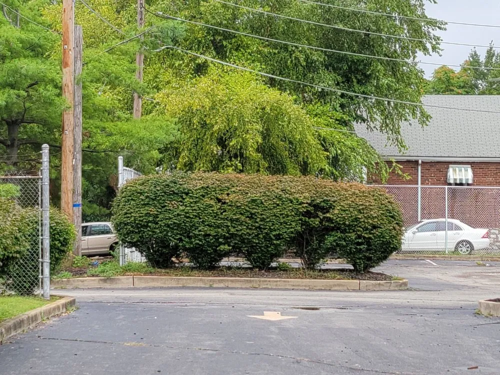 Custom outdoor landscaping experts serving Saint Louis, MO - Mj And Hammer