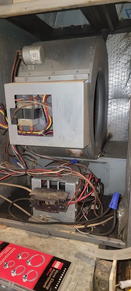 Local landscaping services near you in Saint Louis, MO by Mj And Hammer