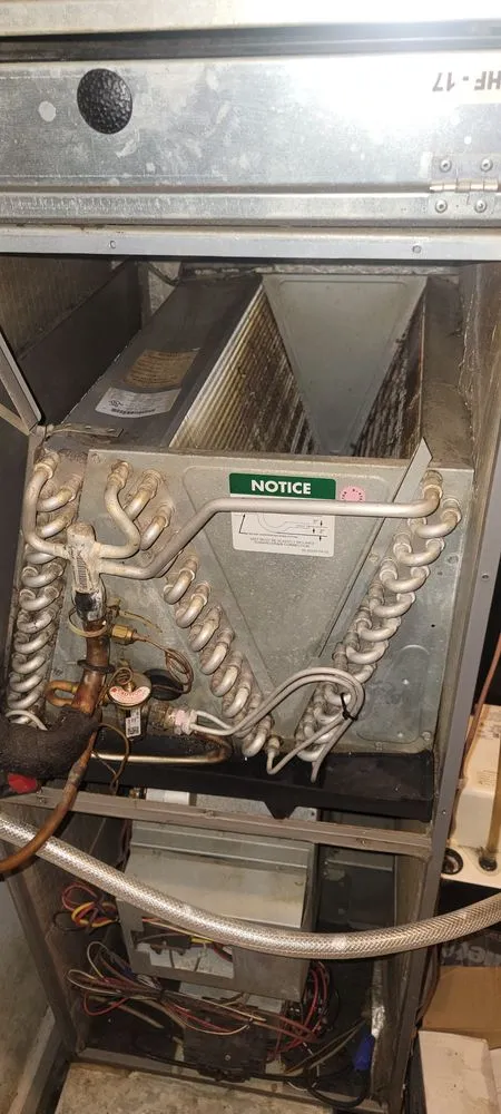 Professional residential landscaping in Saint Louis, MO - Mj And Hammer