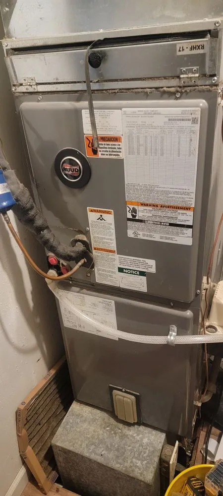 Reliable yard cleanup service for outdoor upgrades across Saint Louis, MO - Mj And Hammer