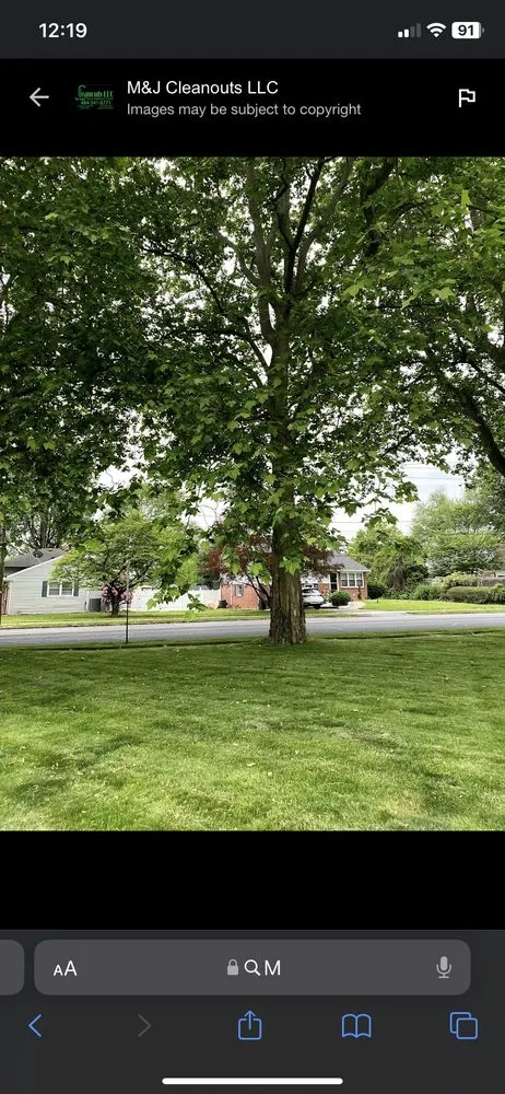 Affordable yard maintenance in Easton, PA by M&J Cleanouts