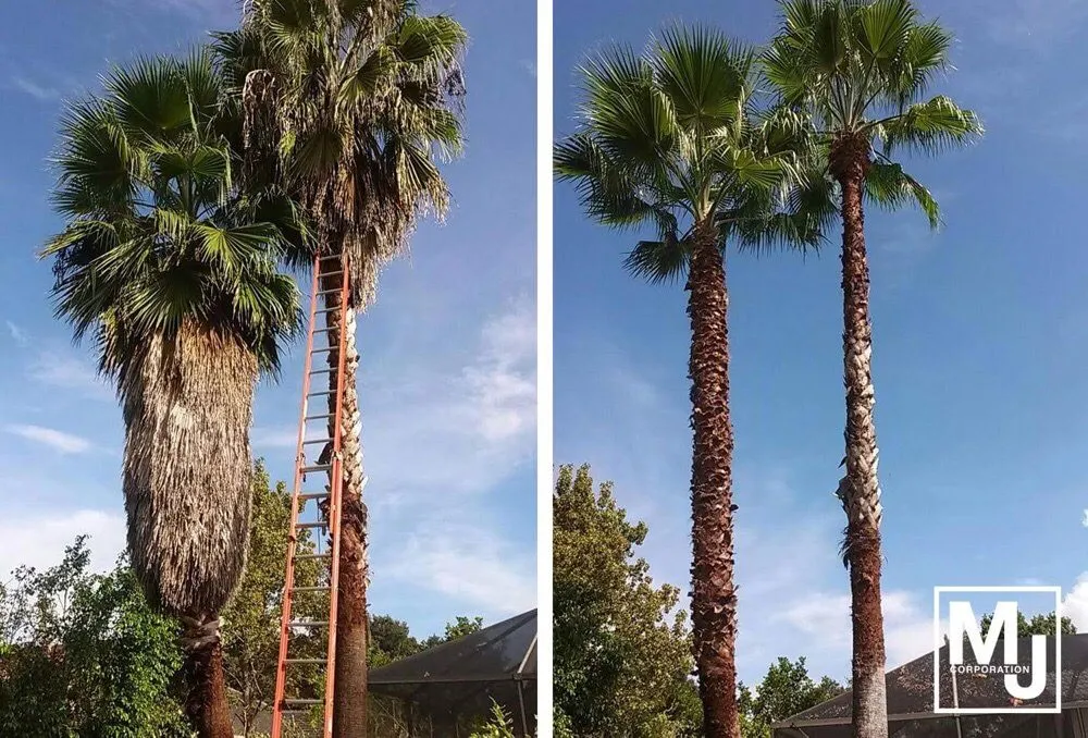 Expert garden landscaping experts serving Coral Springs, FL - M&J Corporation