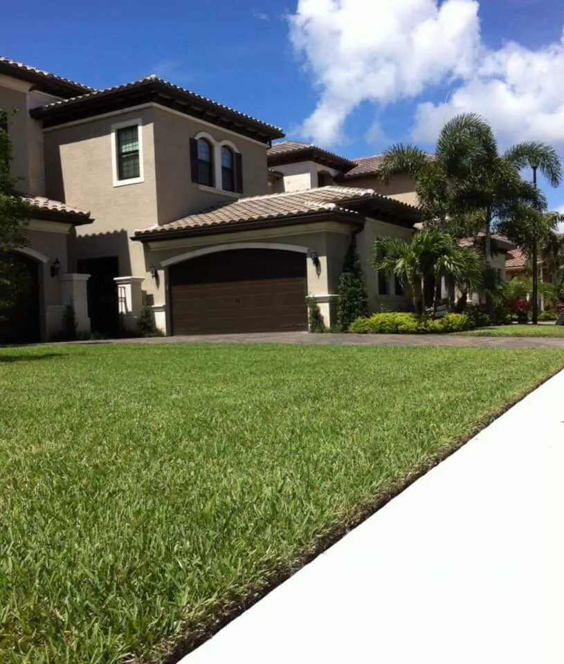 Reliable landscape design in Coral Springs, FL - M&J Corporation