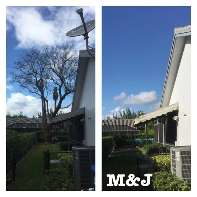 Local garden landscaping in Coral Springs, FL by M&J Corporation