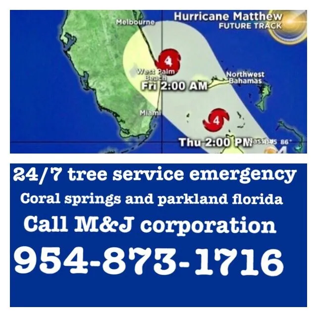 Professional landscape installation experts serving Coral Springs, FL - M&J Corporation